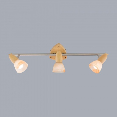 Спот Citilux Монте CL505531