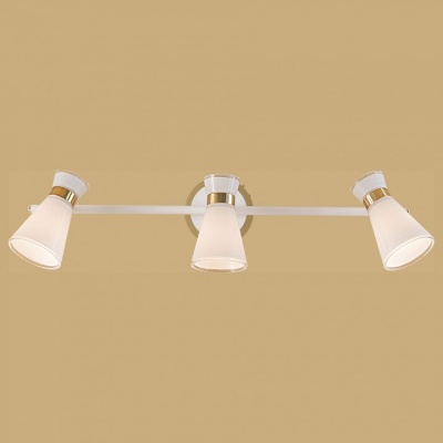 Спот Citilux Грейс CL528532
