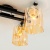 Потолочная люстра Citilux Сафари CL145241 Потолочная люстра Citilux Сафари CL145241