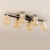 Потолочная люстра Citilux Сафари CL145261 Потолочная люстра Citilux Сафари CL145261
