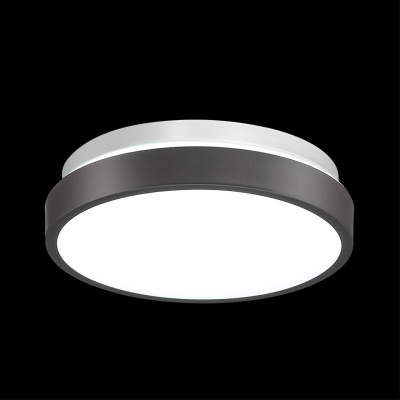 Накладной светильник Sonex Smalli 3012/AL