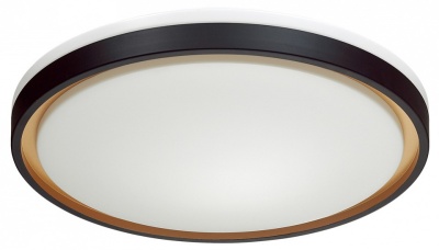 Накладной светильник Sonex Klapa 3045/EL