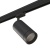Светильник на штанге Lightstar Canno 303574 Светильник на штанге Lightstar Canno 303574