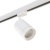 Светильник на штанге Lightstar Canno 301564 Светильник на штанге Lightstar Canno 301564