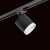 Светильник на штанге Lightstar Rullo R1T34873486 Светильник на штанге Lightstar Rullo R1T34873486
