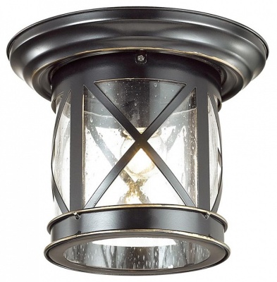Накладной светильник Odeon Light Sation 4045/1C
