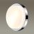 Накладной светильник Odeon Light Holger 2746/2C Накладной светильник Odeon Light Holger 2746/2C