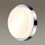 Накладной светильник Odeon Light Holger 2746/2C Накладной светильник Odeon Light Holger 2746/2C