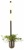 Бра Odeon Light Flower 4681/2WA
