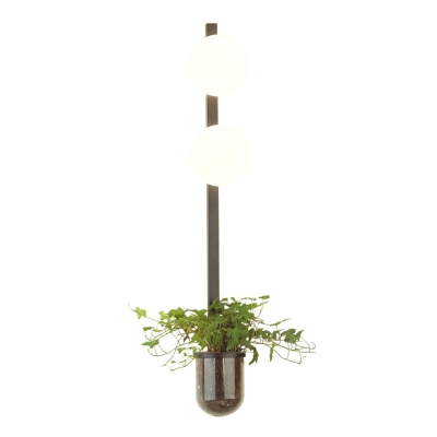 Бра Odeon Light Flower 4681/2WA